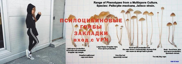 таблы Белоозёрский
