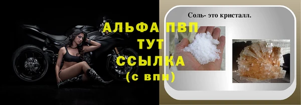 spice Богородск
