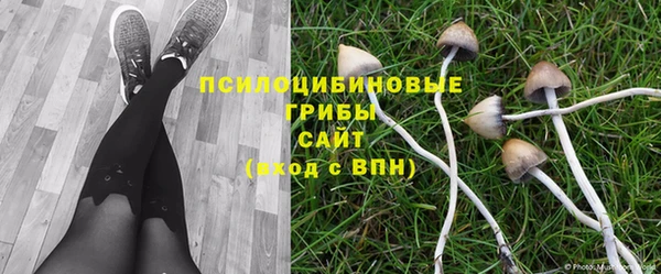 spice Белокуриха