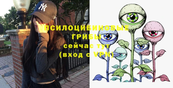 шишки Беломорск
