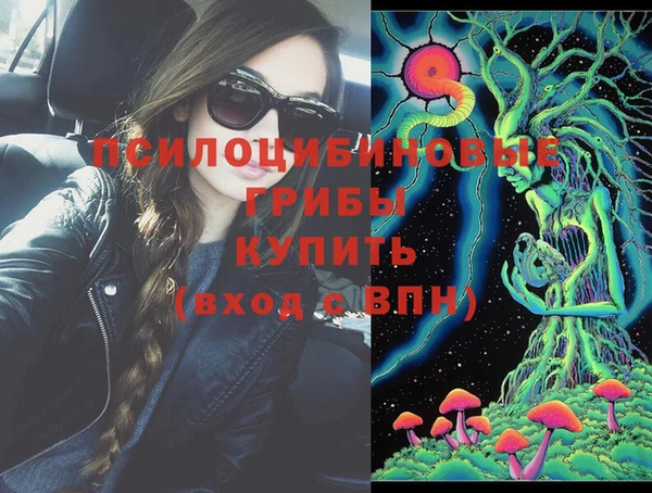 spice Белокуриха