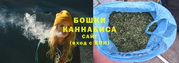 spice Белокуриха