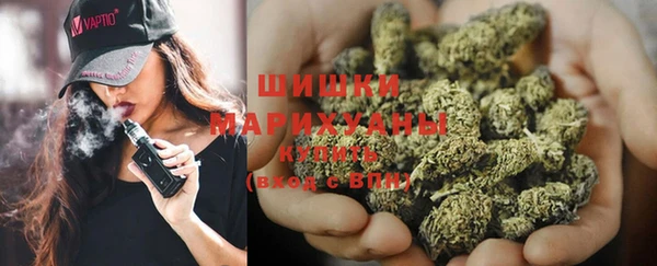 хмурый Богородицк